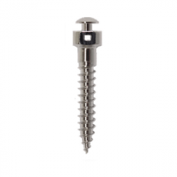 Mini Screw Stainless Steel